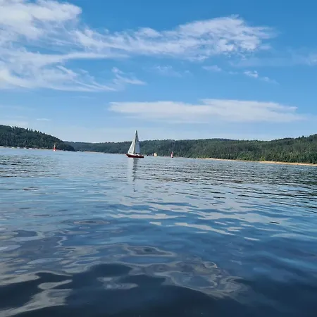 Orlicka Prehrada Mala Holiday home *