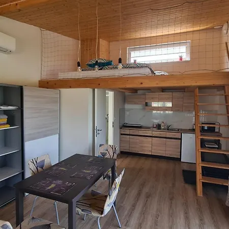 Orlicka Prehrada Mala Holiday home *